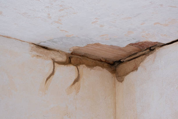 Best Water damage contractors near me  in Plover, WI