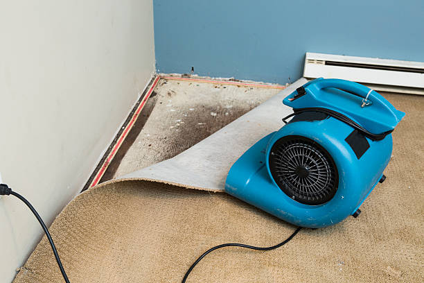Best Flood restoration services  in Plover, WI